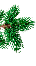 decoration element